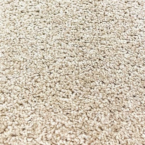 Tuda Carpets | Imperial 6.5mm Pile Budget Carpet with Felt Backing, 8.5mm Total Height | Camel Beige (91) - Sample