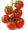 seedsown Tomate, Süss Große Kirsche, Erbstück, Bio 25+ Samen, Schmackhaft, ideal für Salate