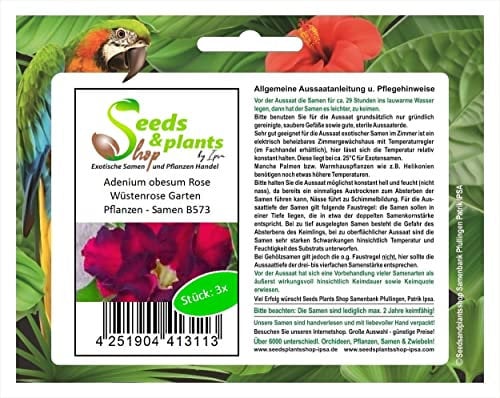 Stk - 3x Adenium obesum Rose Wüstenrose Garten Pflanzen - Samen B573 - Seeds & Plants Shop by Ipsa