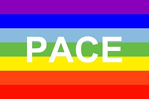 magFlags Flagge: Large PACE | Querformat Fahne | 1.35m² | 90x150cm » Fahne 100% Made in Germany