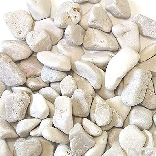Galets en marbre blanc de Carrara ø 15/25 mm Sac de 25 kg Pour pots