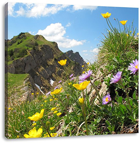 Pixxprint Blumenwiese im Frühling, Größe: 40x40, Leinwandbild Quadratisch, Wandbild, Kunstdruck, fertig bespannt