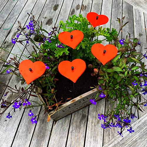SunCatcher Garden Decor Sonnenfänger Set aus 5 kleinen leuchtenden Herzen Garten Dekoration für Garten, Balkon, Terrasse, Liebe, Hochzeit Farbe:Fluoreszierendes Rot