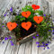 SunCatcher Garden Decor Sonnenfänger Set aus 5 kleinen leuchtenden Herzen Garten Dekoration für Garten, Balkon, Terrasse, Liebe, Hochzeit Farbe:Fluoreszierendes Rot