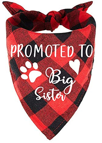 easycozy Hundehalstuch, Aufschrift Promoted to Big Sister, Rot kariert, Dreieckstuch Haustier-Schals Dekorationen Zubehör, Haustier-Schals Hundeliebhaber Besitzer Geschenk
