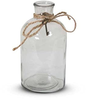 Vase Transparent Mio Ø 18 x 20cm