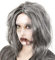 KarnevalsTeufel.de Perücke Zombie grau mit schwarz-weißen Strähnen - Unisex Langhaar