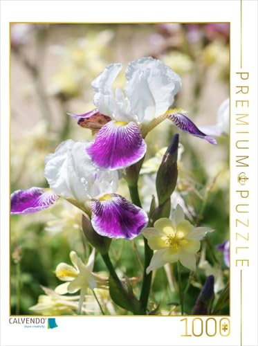 CALVENDO Puzzle Iris in Begleitung von Akeleien | 1000 Teile Lege-Größe 48 x 64 cm Foto-Puzzle für glückliche Stunden