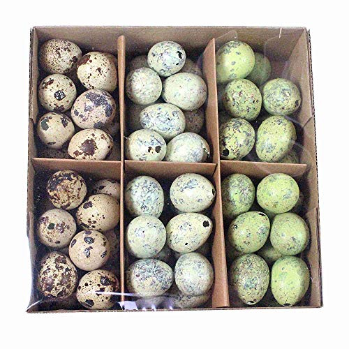 72 echte Wachteleier 3cm bunt ausgeblasen Natur grün blau Eier Ostereier Ostern