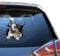 Australian Shepherd Aufkleber Hauling Aussie Auto Aufkleber Wetterfest Auto Aufkleber für Zitate Kawaii Wasserdicht LKW