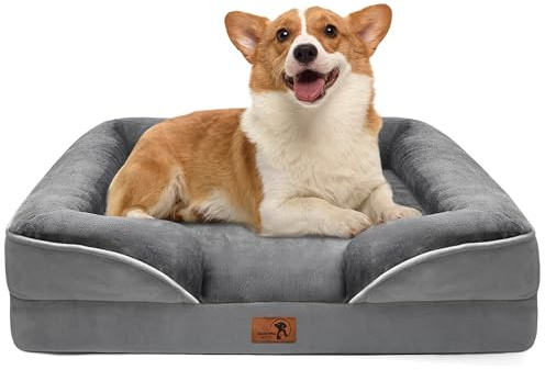 Spotted Play Orthopedic Dog Bed with Sides - Dog Sofa Beds for Medium Dogs, Supportive Foam Pet Couch Bed with Washable Removable Cover, Waterproof Lining and Non-Slip Bottom, Grey - M