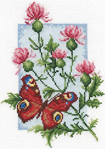 Panna - Kreuzstich set - Pfau - B-0117 - Sticken erwachsene - Aida stoff - 21 x 15.5 cm - DIY set