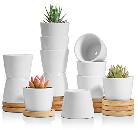 T4U 6.5 cm Piccoli Vasi per Piante Set di 12 Ceramica vasetti di Fiori con Sottovaso, Vaso per Pianta Bianco Moderni per Pianta Grasse e Cactus nel Interni e Giardini