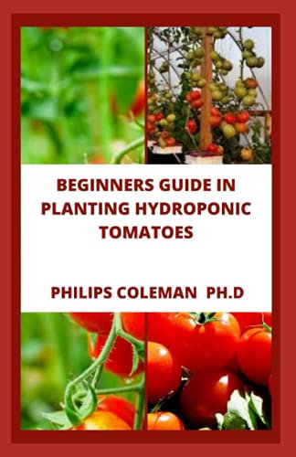 BEGINNERS GUIDE IN PLANTING HYDROPONIC TOMATOES