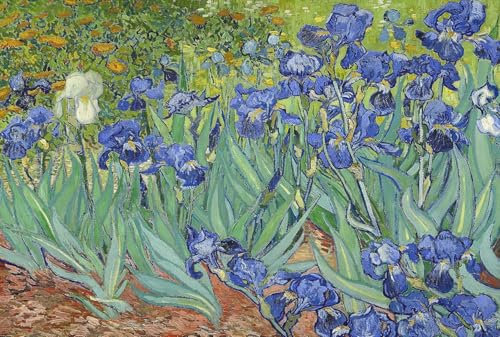 1000 Stück Puzzle Für Erwachsene „Iris“ Von Vincent Van Gogh Puzzles Für Erwachsene Pädagogisches Herausforderungsspielzeug Van Gogh-Puzzles Für Erwachsene