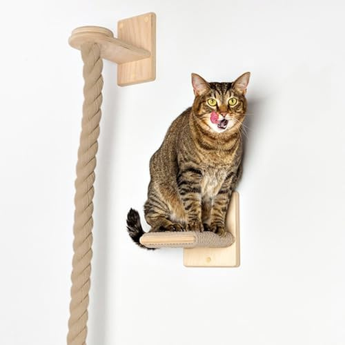 WANGJIANPENGPL Katzen Wand Klettern, Katzenmöbel Wand, mit Kratzbaum, Kätzchen-Strickleiter mit Sprungplattform, Wandstufen Zum Spielen und Ausruhen(130cm/51in)
