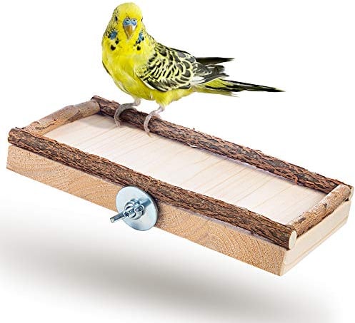 Vogelgaleria® Sitzbrett Wellensittich Sitzbretter für Vögel Wellensittich Zubehör Vogelkäfig Zubehör