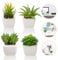 Plantas Suculentas Artificiales 4 Piezas, Plantas Falsas Pequeñas Mini Plantas Suculentas en Macetas, Planta Decorativa de Fuax para el Hogar Casa Mesa Balcón Oficina Interior Decoración Accesorios