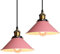 iDEGU Lot de 2 Lustres Rétro Suspension Luminaire Vintage 22CM Métal Plafonnier Abat-jour Industriel E27 Lampe de Plafond pour Salon Cuisine Chambre Restaurant (Rose)