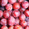 300 pcs pflaumenbaum kaufen samen, seed frisches obst pflaumen pflanzen pflaume, büropflanzen bonsai samen obst kleine geschenke bio saatgut exotische pflanzen winterhart zimmerpflanze
