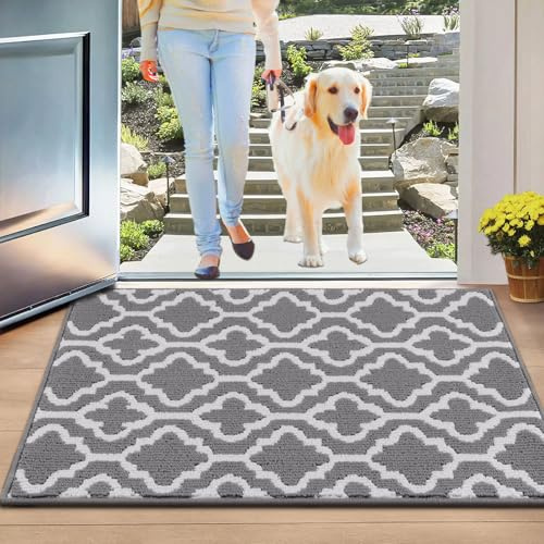 SHACOS Fußmatte Innen 50 x 80 cm Schmutzfangmatte Waschbar Fussmatte Haustür Fußabtreter Innen Türmatte rutschfeste Sauberlaufmatte für Eingang, Haustür, Flur, Grau