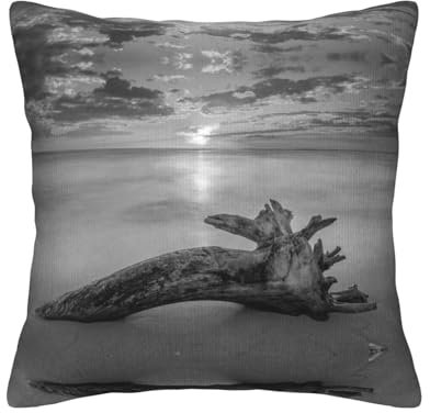 NBSNGSLS Strand-Kissenbezüge mit Holzbild, Kordsamt, quadratisches Kissen für Couch, Dekoration, Wohnzimmer