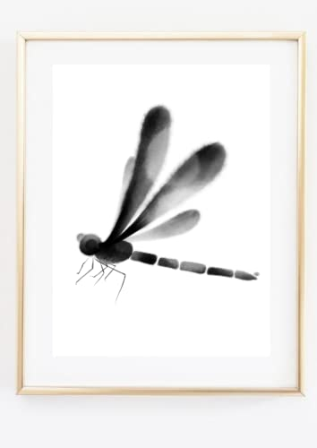 Din A4 Kunstdruck ohne Rahmen - Fliegende Libelle - Insekt Tusche Aquarell Malerei Minimalismus - Bild Druck Poster