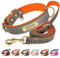 Beirui Genuine Leather Dog Collar and Leash Set, Custom Engraved Name Plate, Soft Padded Leather Collars with Durable Metal Hardware for Small to Large Dogs (L, Gray Set 35-45cm)