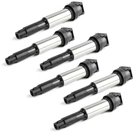 LST 6x Zündspule Zündmodul Zündeinheit kompatibel mit BMW 1er 2er 3er 4er 5er 6er 7er X1 X3 X5 X6 Z3 Z4 2.2 2.5 3.0 3.2