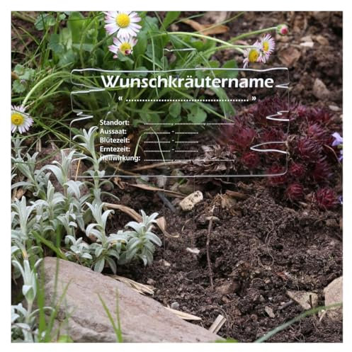 Bütic GmbH - Pizarra para plantas (plexiglás, aspecto de madera, transparente), Jabonera.