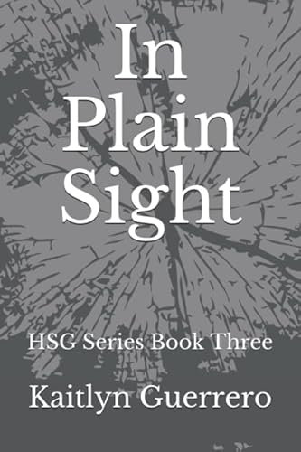 In Plain Sight: HSG Series Book Three (Hamilton Security Group)
