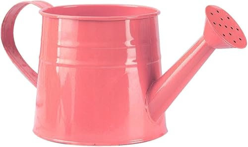 Gießkanne klein für den Zimmerpflanzen 1L, Blumengießkanne aus Metall, Giesskanne Pflanzengießkanne, kleine Gießkanne, Gartengießkanne Watering Can Blumentöpfe Kleine Vasen Gartenwerkzeug (Hellrosa)
