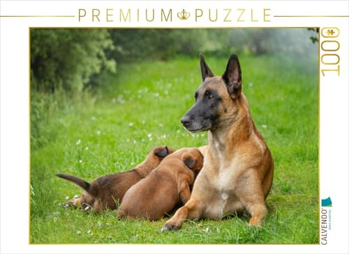 CALVENDO Puzzle EIN Motiv aus dem Kalender Traumhund Malinois | 1000 Teile Lege-Größe 64 x 48 cm Foto-Puzzle für glückliche Stunden