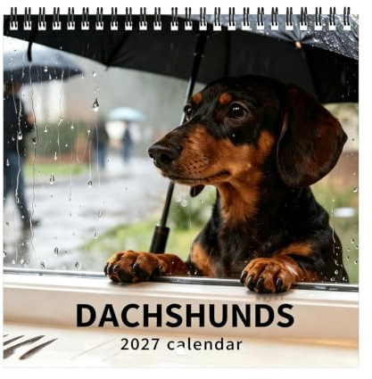 Calendrier mural Teckel 2027 Planificateur Mensuel Canin 2027