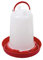 SM Pet Supplies 3 Liter Trinkflasche für Hühner und Avaries (3 l)