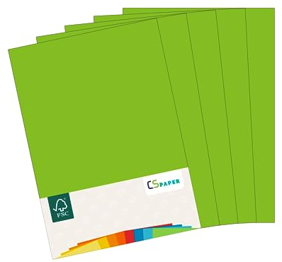 MADE IN EU 20 Blatt farbiges Papier GRÜN (Maigrün) A4 80 g/m² CS Paper. Druckerpapier, Kopierpapier, Universalpapier zum Drucken, Basteln & Falten im Format DIN A4. Papier für den Heim- & Bürobedarf
