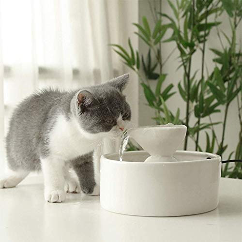DUOLEMY Smart Cute Love Heart Fountain, Ceramic Pet Drinking Water Bowl, Cat and Dog Small Animal Special Water Dispenser, Ultra-quiet Automatic System Pet supplies (Color : White)