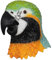 shayulajiao Papagei maske & Tierkostüm aus Latex | Atmungsaktive Vogelmaske für Karneval,Fasching & Halloween | 3D-Federdesign für Maskenbälle & Weihnachtsmarkt -Maske Erwachsene (Einheitsgröße)
