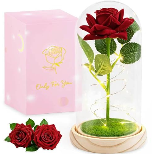 Morofme Rote Infinity Rose mit LED Licht, Ewige Rose Acrylhaube Stoßfest | Die Schöne und die Biest Rose, Kunstrosen für Frau Geschenke, Geburtstag, Jubiläum, Feiertage, Wohnen Schlafzimmer Büro Dekor