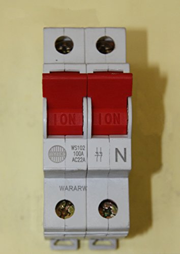 Wylex Incomer Devices 100A DP WS102