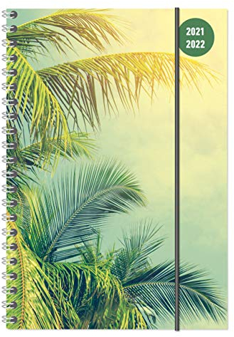 Collegetimer Tropical Dream 2021/2022 - Schüler-Kalender A5 (15x21 cm) - Ringbindung - Weekly - 224 Seiten - Terminplaner - Alpha Edition: ... Terminplaner (Collegetimer A5 Ringbuch)