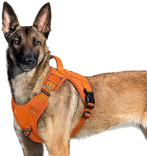 rabbitgoo Hundegeschirr Grosse Hunde, Anti Zug Geschirr Hund Verstellbar mit Griffe Verbreitert, Robust und Verschleißfest, Taktisches Hundegeschirr mit Metallschnallen zum Wandern(XL, Orange)
