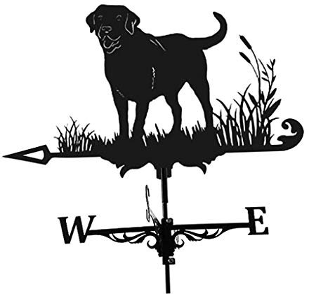 Duiaynke Girouette de style moderne pour toit de jardin, décoration de toit, indicateur de direction du vent pour cour, coupole, ferme, abris de jardin, scène rétro durable (Labrador)