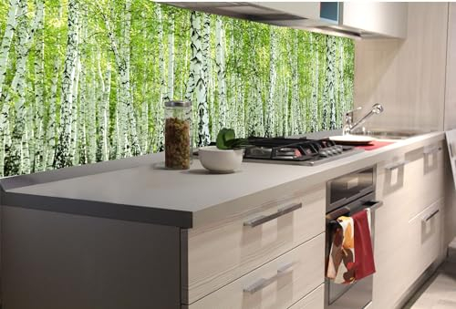 Dimex Küchenrückwand Folie Selbstklebend FRÜHLINGSBIRKENWALD 180 x 60 cm | Klebefolie - Dekofolie - Spritzschutz für Küche | Made in EU