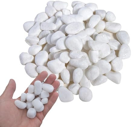 Galets, Galets Blancs de Jardin, Pierres Décoratives, Pierres de Rivière Plantes, pour L'aménagement Paysager, la Décoration de la Maison, L'artisanat, Les Projets Artistiques 2-4 cm, 1kg