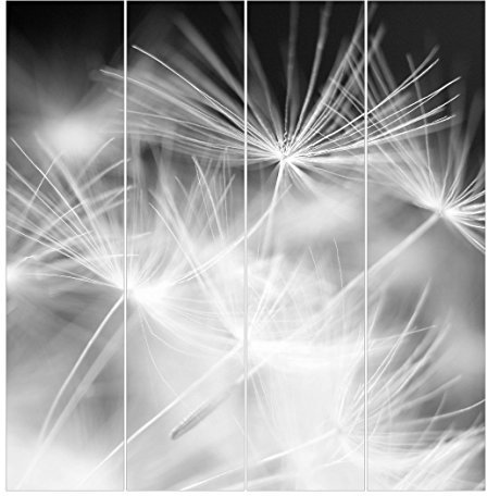 Bilderwelten Schiebegardinen Bewegte Pusteblumen Nahaufnahme Deckenhalterung 4X 250x60cm