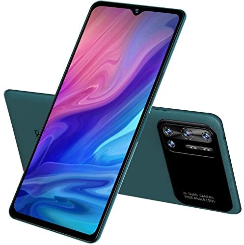 DOOGEE N40 PRO Android 11 Smartphone Ohne Vertrag, Helio P60 Octa-Core 6GB+128GB,6.52'' HD+ Handy,6380mAh Akku, 20MP Quad-Rückfahrkamera, 16MP Frontkamera, Fingerabdruck DUAL SIM GPS Grün