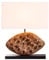 Riess Ambiente Design Tischlampe REEF 50cm Akazie Massivholz handmade Baumwollschirm weiß Handgearbeitete Nachttischlampe Dekolampe