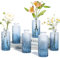 ComSaf Glass Bud Vases Set of 6, Small Diamond Bud Vases in Bulk, Mini Flowers Vases for Centerpieces, Vintage Decor Centerpiece for Table, Wedding Recepetion, Home, Housewarming Gift (Blue)