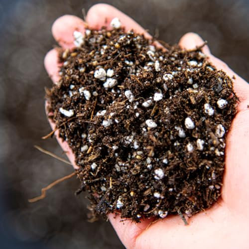 Carnivorous Plant Potting Mix - Venus Flytrap Soil, Pitcher Plant Soil, Sundew Sol, Enriched with Nutrients (3L)